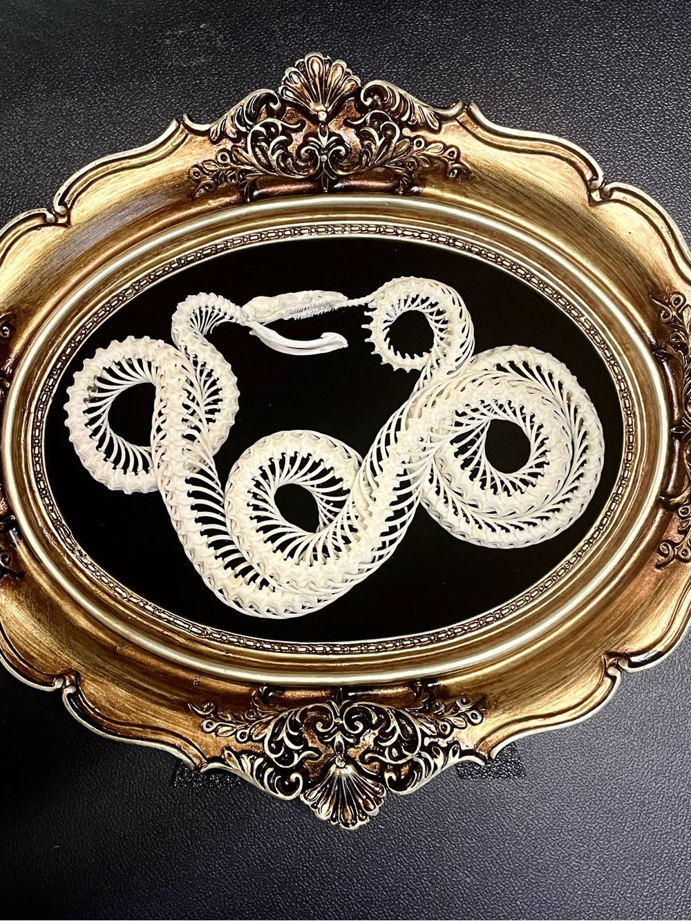 REAL Snake Skeleton Bone Art